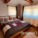Strigonia * 艾斯特根